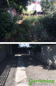 garden clean up before after